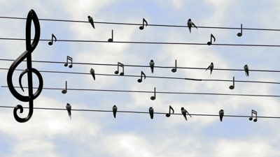 MusicImage