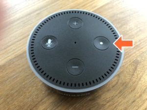AmazonEchoActionButton