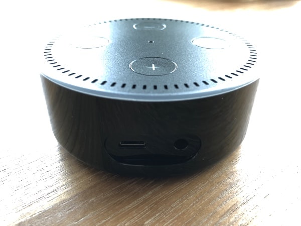 EchoDotBack