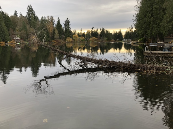 iPhoneXLake